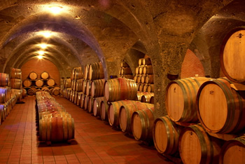 Wine tasting experience Tuscany